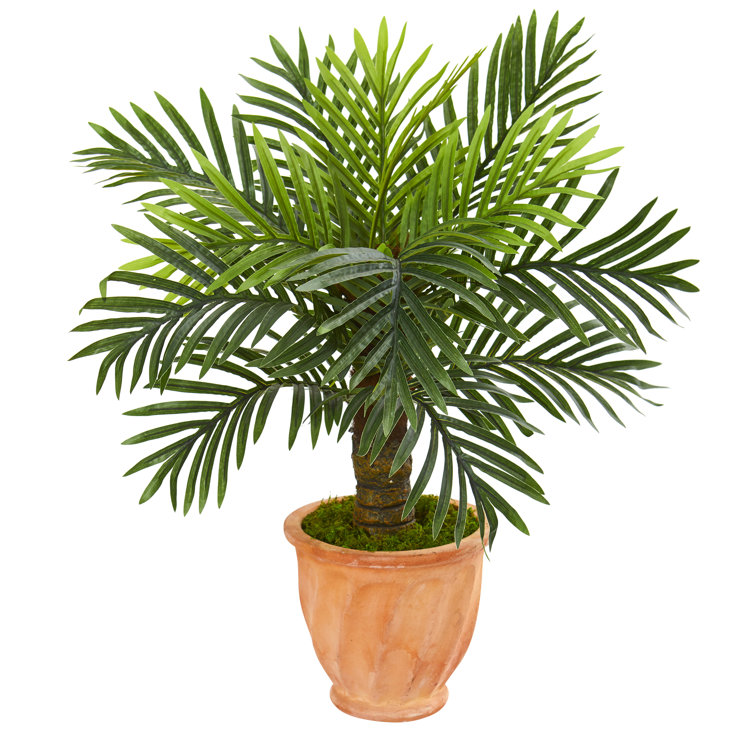 Bay Isle Home 26'' Faux Palm Tree in Terracotta Planter Wayfair